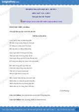 Đề thi giữa kì 2 Văn 9 - Đề số 3